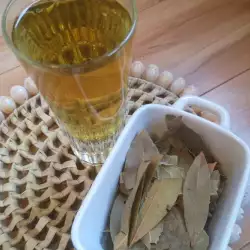 Сироп от дафинов лист при суха кашлица и бронхит