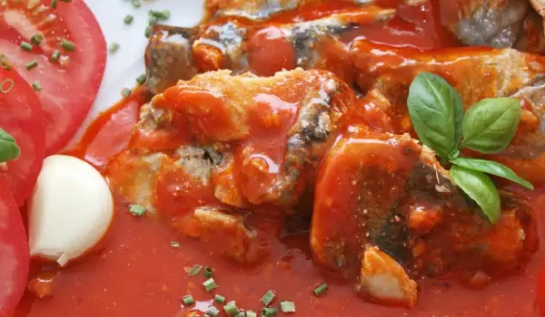 Паламуд в доматен сос