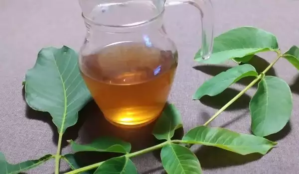 Чай от oрехови листа