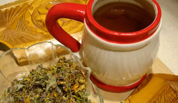 Горски чай против простуда и за имунитет