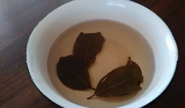 Отвара от дафинов лист и мед за кашлица