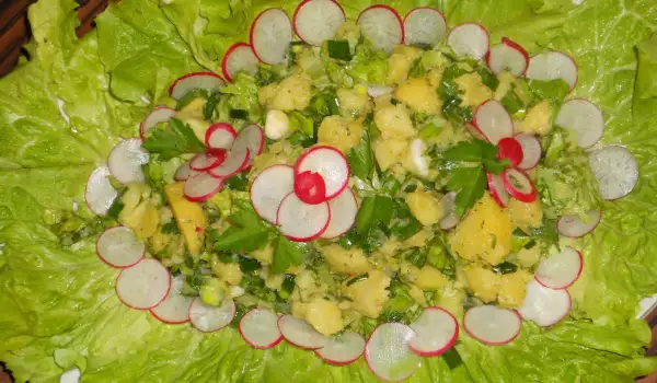 Салата от картофи, зелена салата, репички и зелен лук