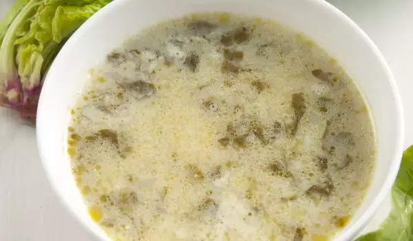 Супа от лапад и коприва с ориз