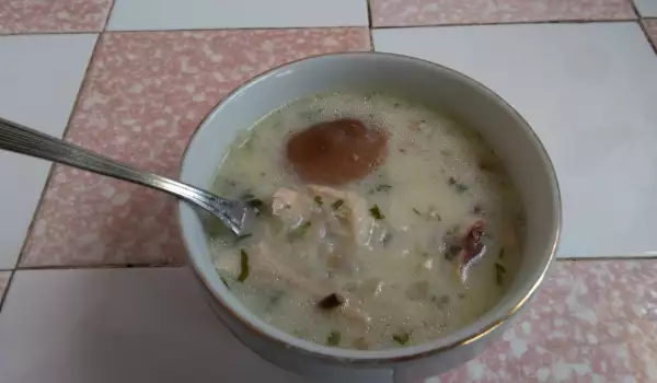 Супа пиле с фиде и челядинки