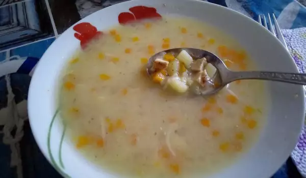 Супа с фиде и пилешка пържола