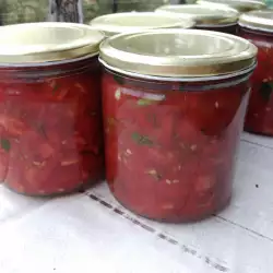 Салца с домати