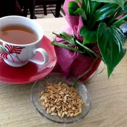 Чай от семена от пъпеш при бактериални инфекции на пикочните пътища
