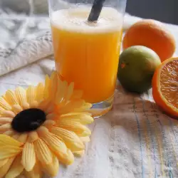 Бразилски рецепти с лимонов сок