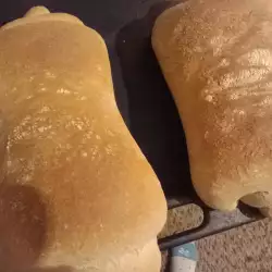 Пълнозърнестите хлебчета на Рудолф