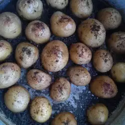Печени картофи с чубрица