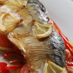 Филе от риба с домати