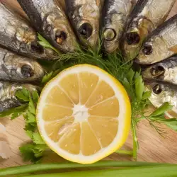 Осолена риба с олио