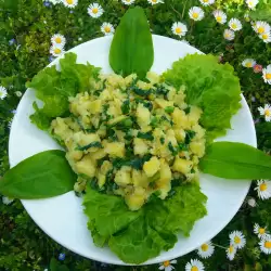 Пролетна картофена салата с коприва и левурда