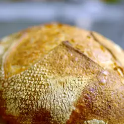 Селски хляб с пълнозърнесто брашно