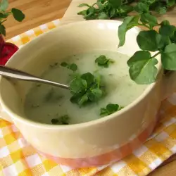 Вегетарианска супа с тиквички