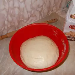 Тесто за вкусна питка от типово брашно
