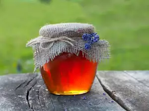 Мед от борови шишарки