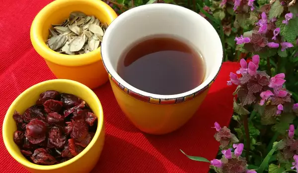 Чай от червени боровинки и листа за здрави пикочни пътища