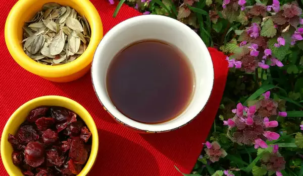 Чай от червени боровинки и листа за здрави пикочни пътища