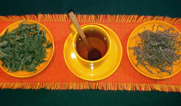 Чай от джоджен за регулиране на стомашната дейност
