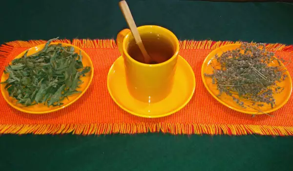 Чай от джоджен за регулиране на стомашната дейност