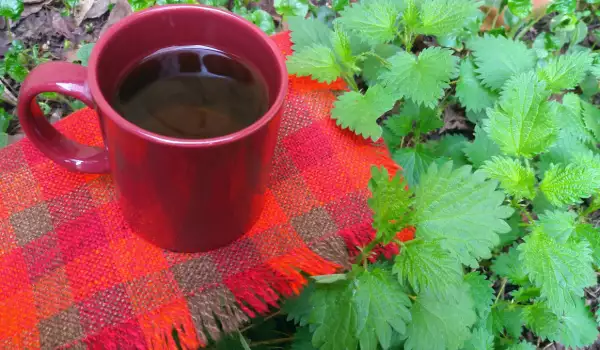 Чай от коприва за добро кръвообращение