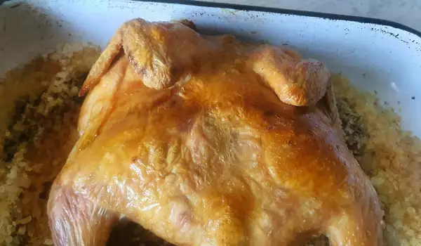 Пиле на сол