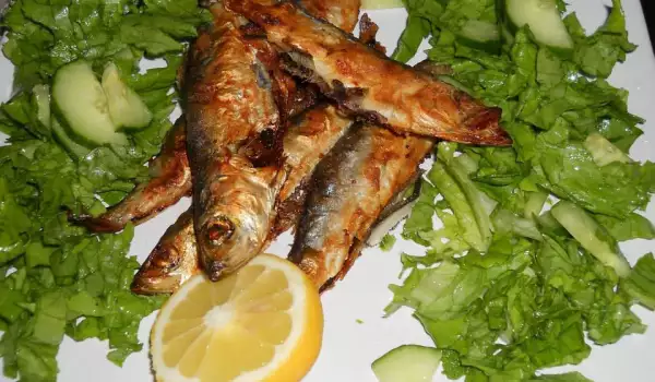 Риба салака печена на фурна