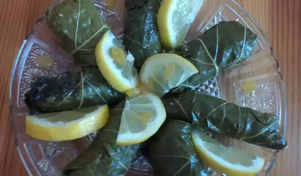 Сармички с лозови листа и лимон по гръцки