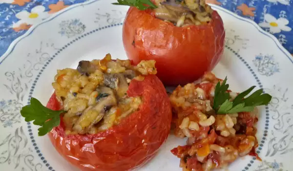 Топло предястие от пълнени домати