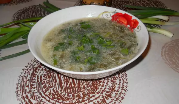 Агнешка супа с лопуш