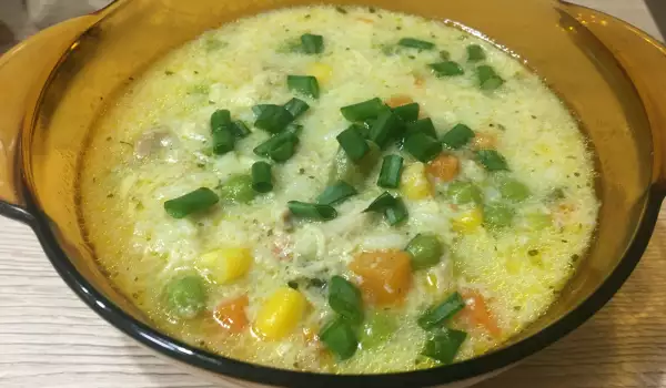 Богата пилешка супа със зеленчуци