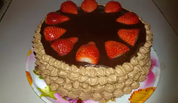 Торта Мока с шоколадов ганаш