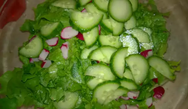 Зелена салата с репички и краставица