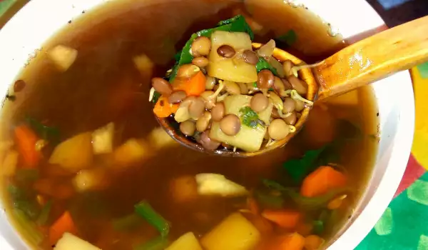 Зеленчукова супа с кълнове от леща