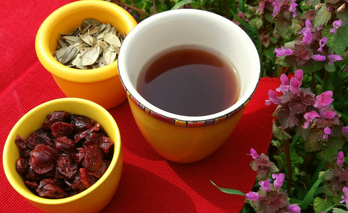 Народната медицина препоръчва чай от червени боровинки за облекчаване на