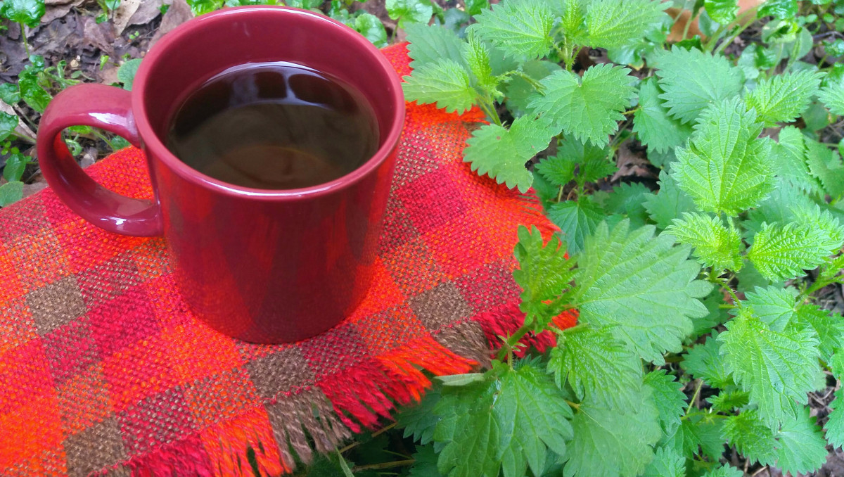 Подобрете кръвообращението си с този вълшебен чай от коприваНеобходими Продукти●