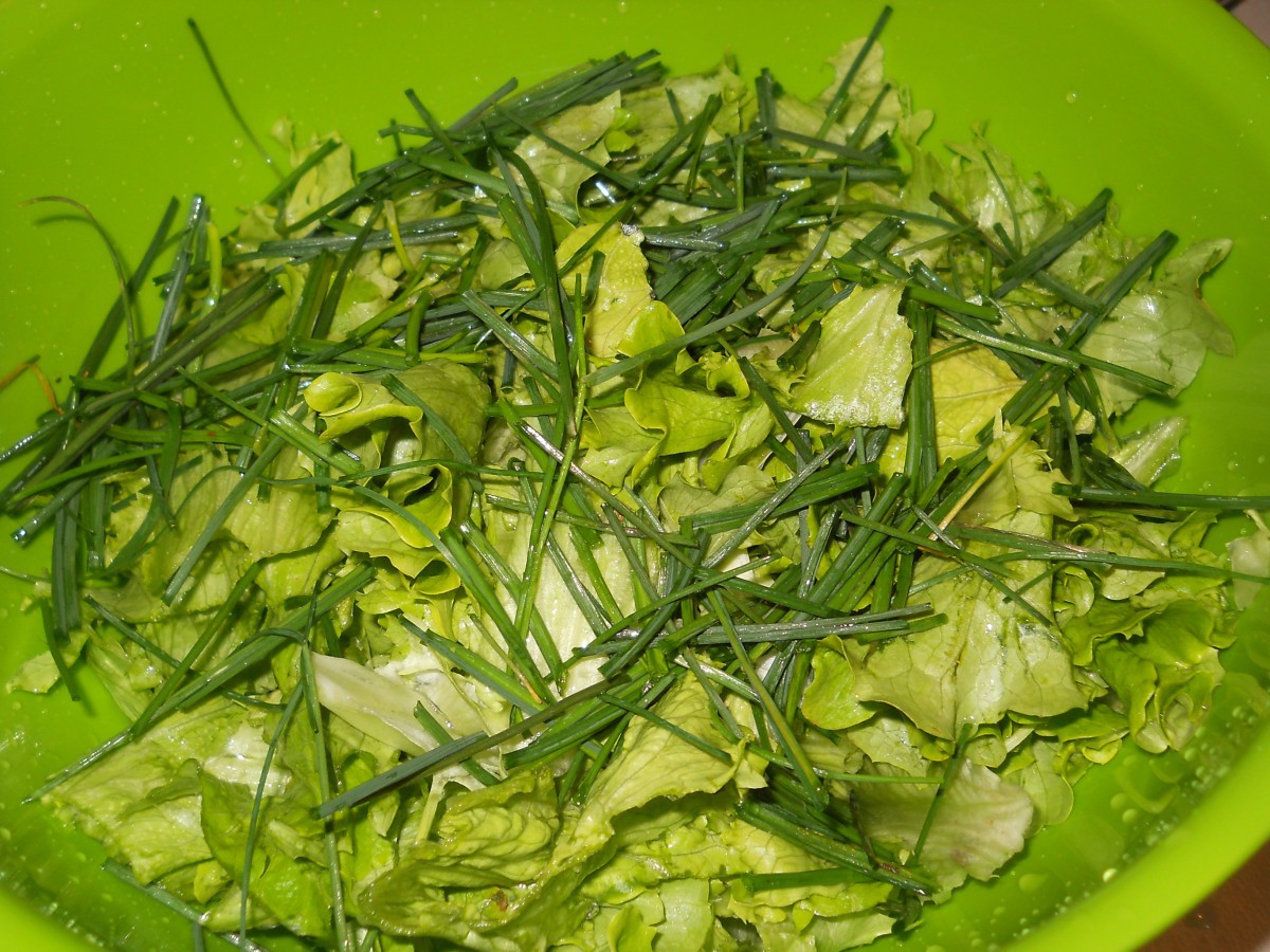 Свежа зелена салатка за вашата трапезаНеобходими Продукти● маруля - 1