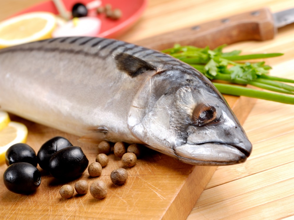 Скумрията е една от най благодатните за консервирани риби в което